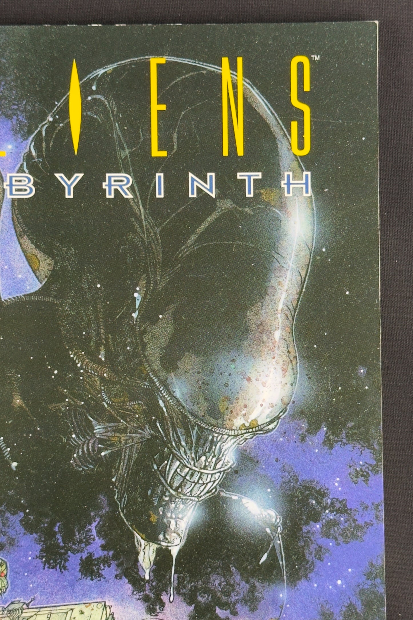 Aliens: Labyrinth Trade Paperback (1995)