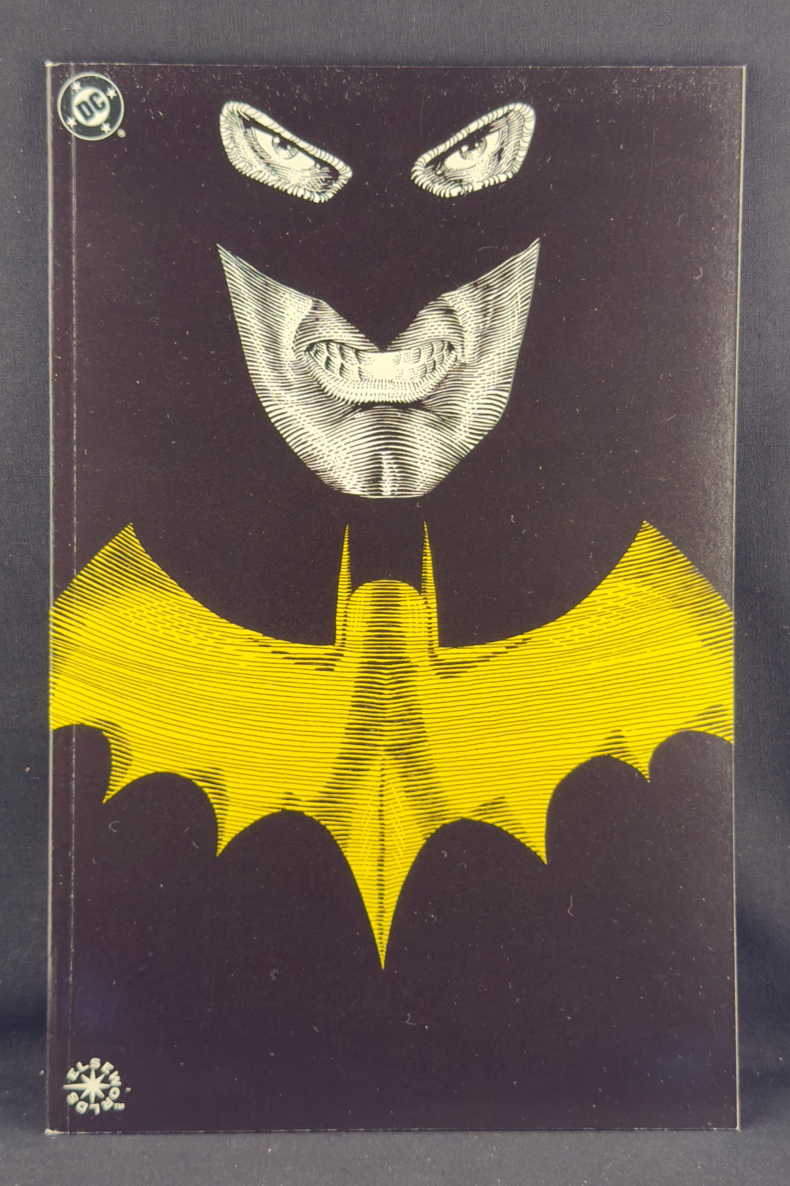 Batman: Master of the Future (1992)