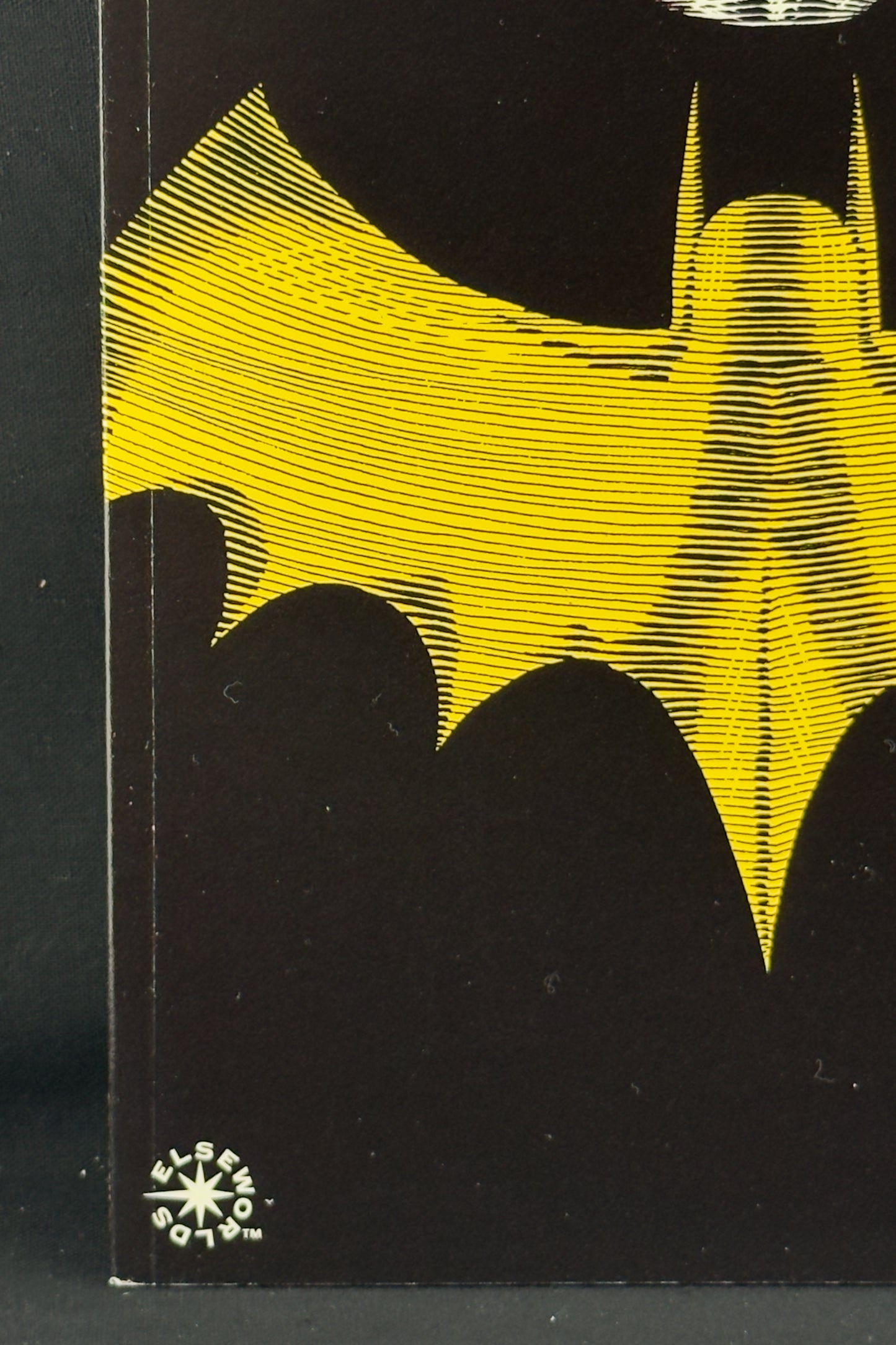 Batman: Master of the Future (1992)