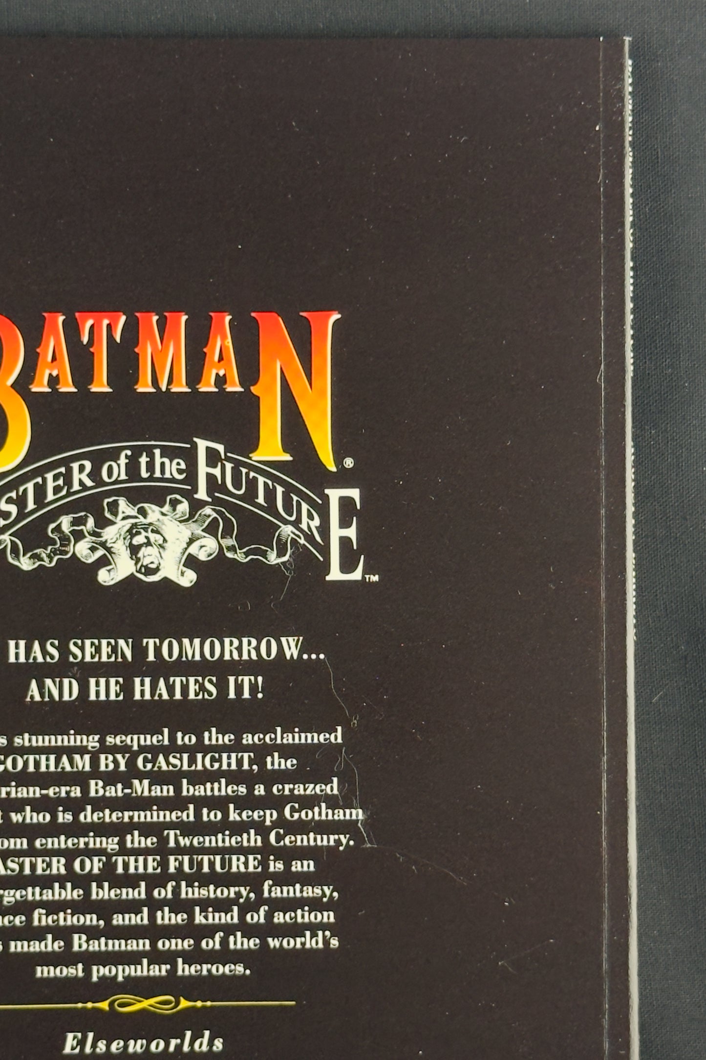 Batman: Master of the Future (1992)