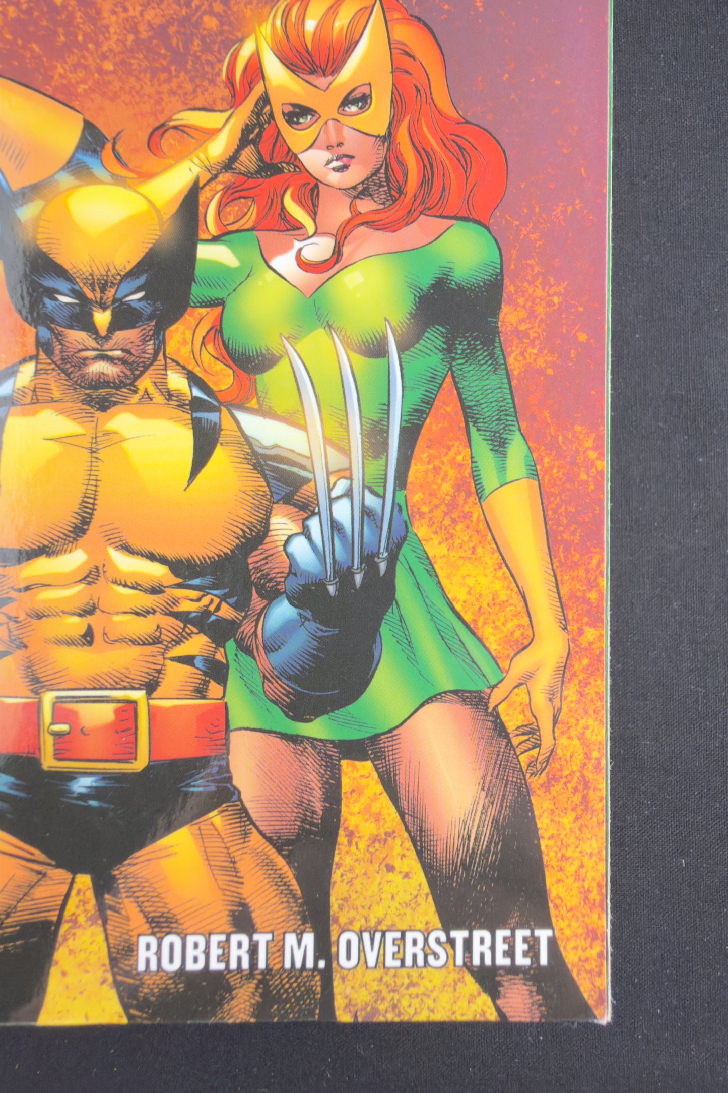 Overstreet Comic Book Price Guide 43rd Edition (2013)