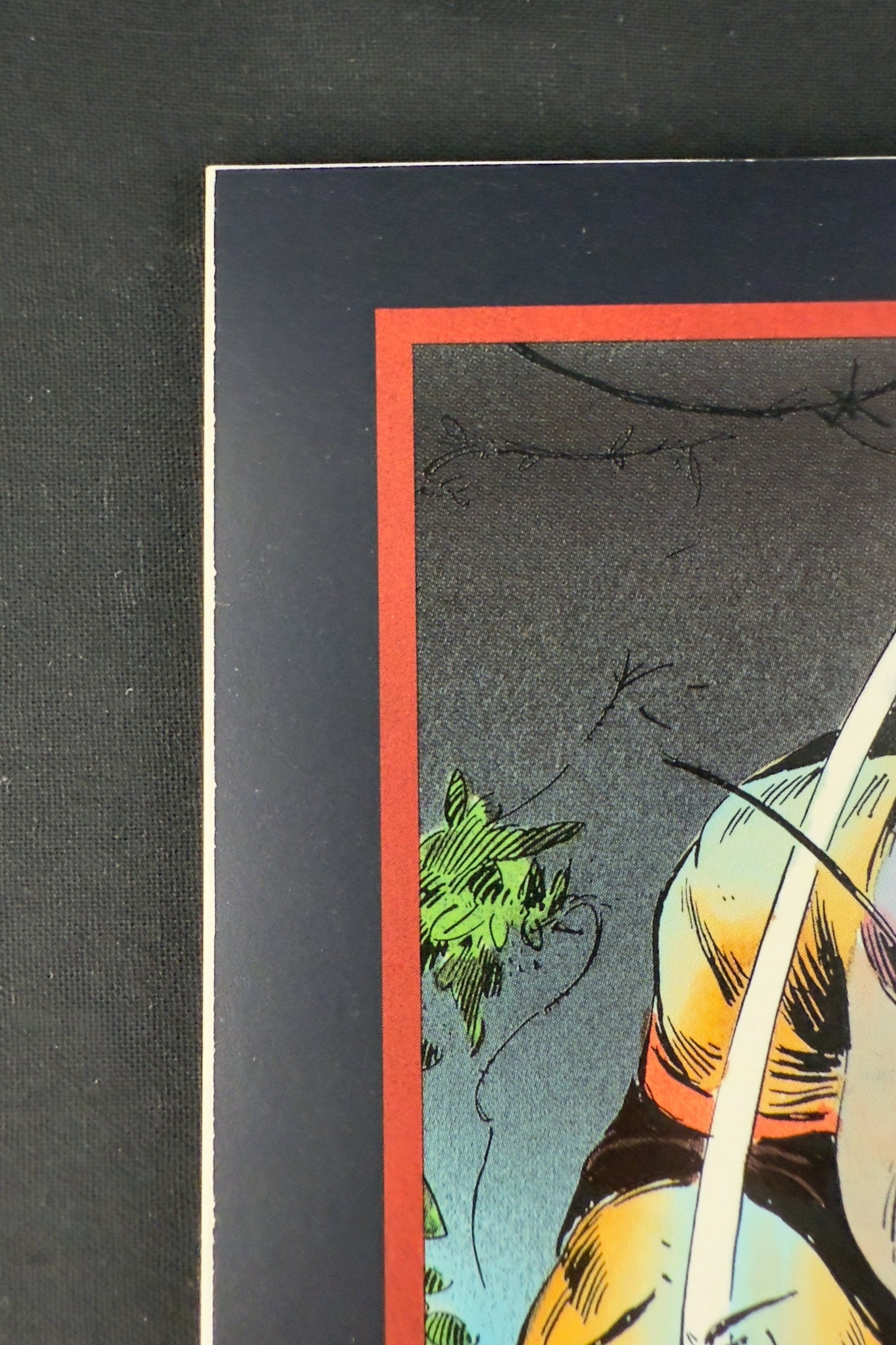 Wolverine: Bloody Choices #nn (1993)