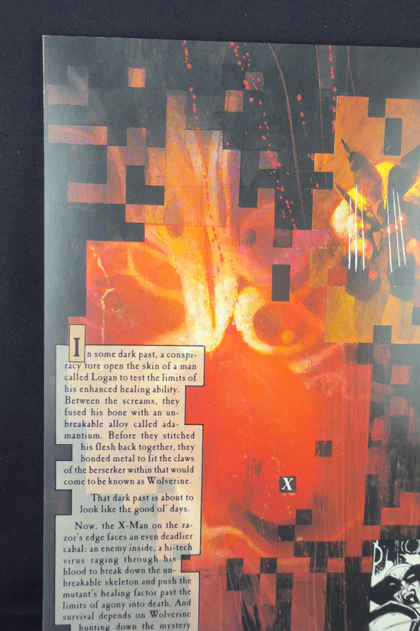 Wolverine: Inner Fury (1992)