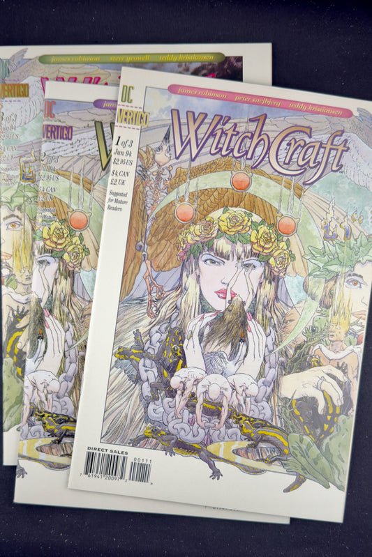DC Vertigo Witchcraft #1-3 Complete Set (1994) Kaluta Connecting Covers NM+
